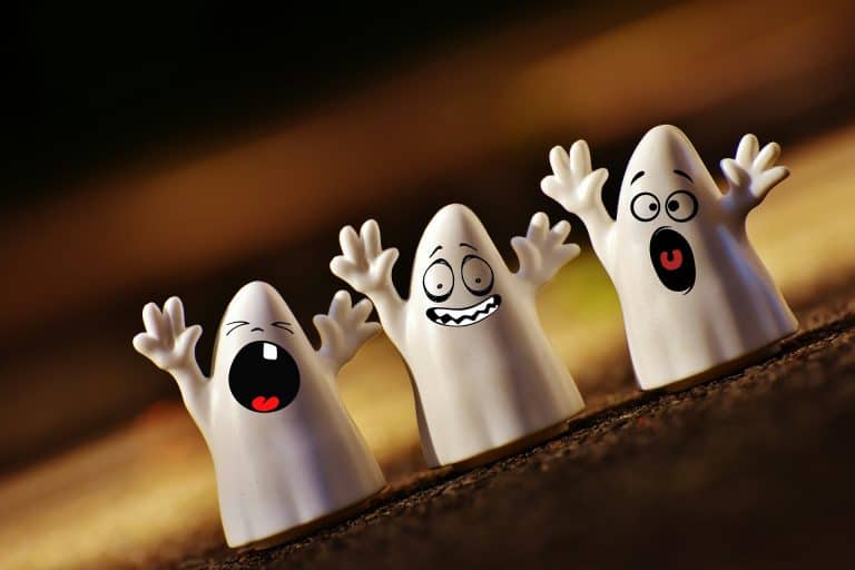 Halloween Facts For Kids - Fun & Spooky - Healthy Wealthy Skinny